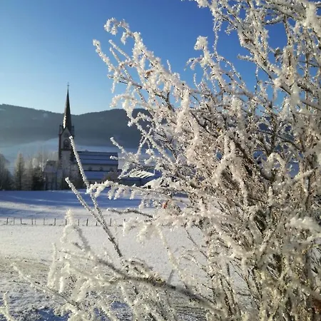 Appartementhaus Novak * Mariapfarr